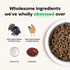 Open Farm Grain-Free Dry Cat Food - Kitten Formula - Chicken & Turkey - 2lb Bag